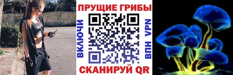 Галлюциногенные грибы Magic Shrooms  Пугачёв 