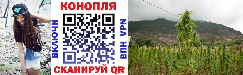 где можно купить   Пугачёв  ссылка на мегу ТОР  Бошки Шишки конопля 